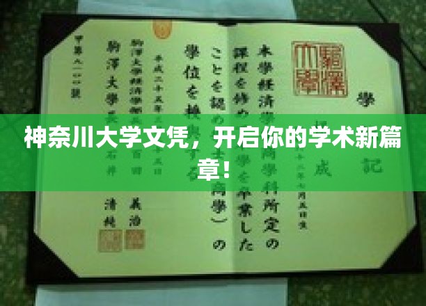 神奈川大学文凭，成就你的学术梦想之旅