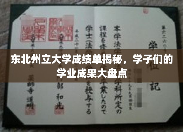 东北州立大学成绩单揭秘，学子们的学业成果全面展示