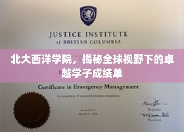 跨越北大西洋的学术巅峰，全球学子卓越成绩单大揭秘