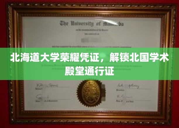 北海道大学荣耀凭证，开启北国学术殿堂的通行证