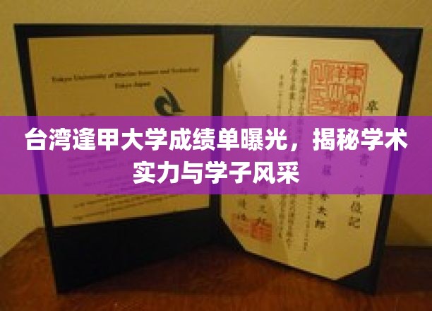 逢甲大学成绩单大公开，探秘学术实力与学子风采的完美呈现