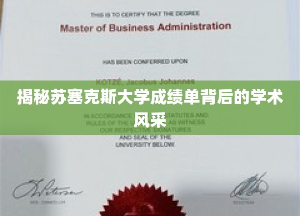 探寻苏塞克斯大学成绩单中的学术魅力之光