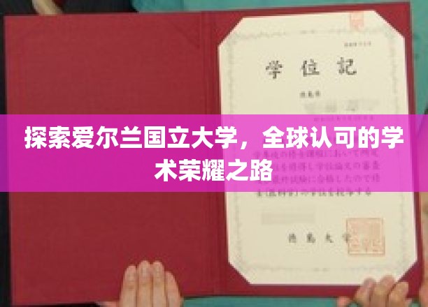 解锁爱尔兰国立大学的国际声誉之旅
