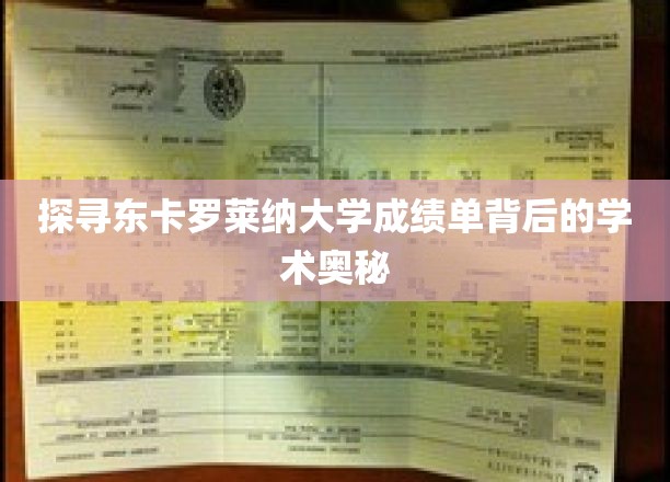 揭开东卡罗莱纳大学成绩单的神秘面纱