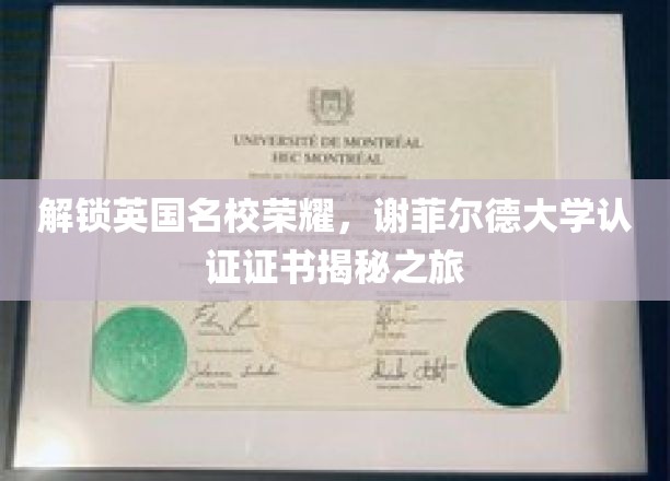 解锁英国名校荣耀，谢菲尔德大学认证证书揭秘之旅