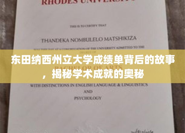 东田纳西州立大学成绩单背后的故事，揭秘学术成就的奥秘
