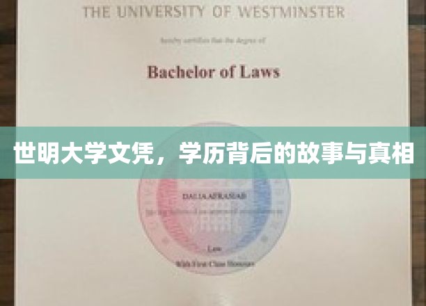 世明大学文凭，学历背后的故事与真相