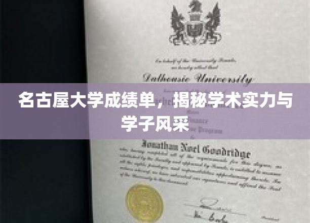 名古屋大学成绩单背后，揭秘学术精英的青春足迹