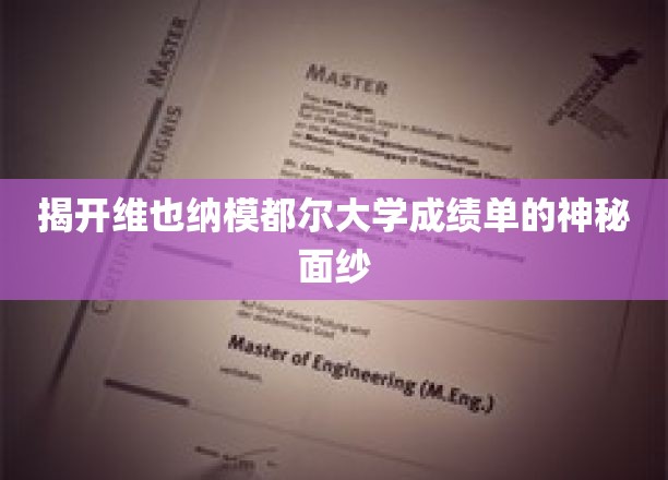 探寻维也纳模都尔大学成绩单背后的秘密世界