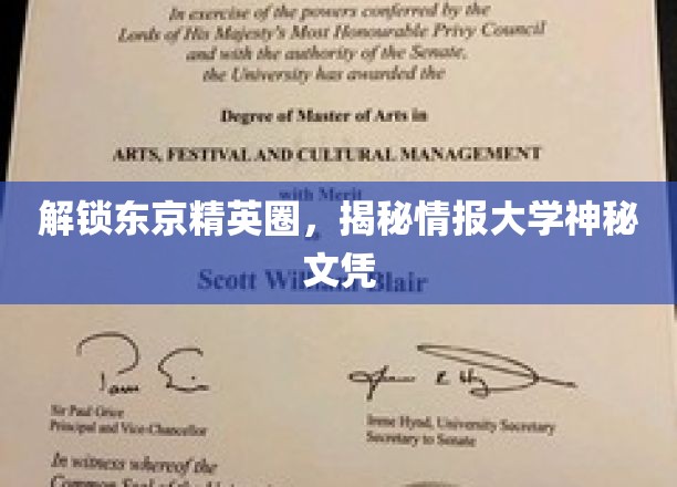 探索东京精英圈，揭秘情报大学神秘文凭
