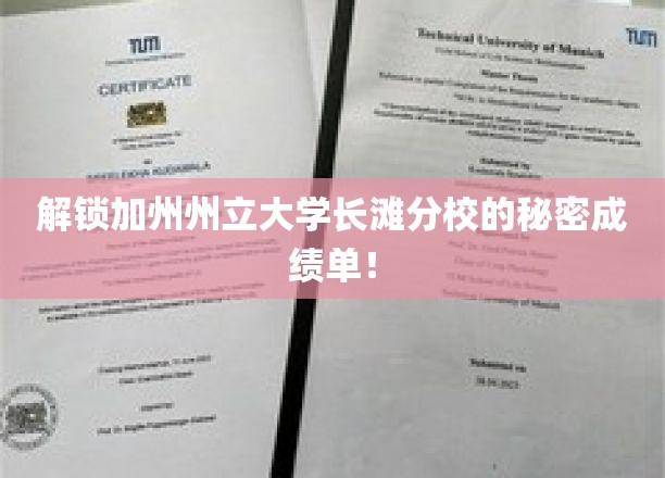 揭秘加州州立大学长滩分校成绩单背后的惊人真相