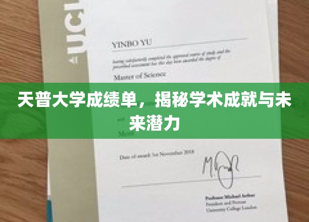 天普大学成绩单背后，探寻学术辉煌与无限潜能
