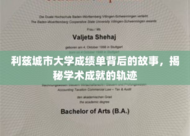 解码利兹城市大学成绩单，探索学子辉煌成就的秘密路径
