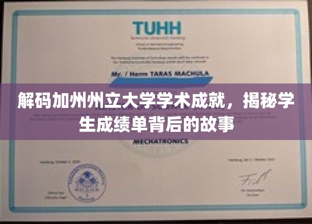 加州学子卓越之路，揭秘加州州立大学成绩单背后的璀璨传奇