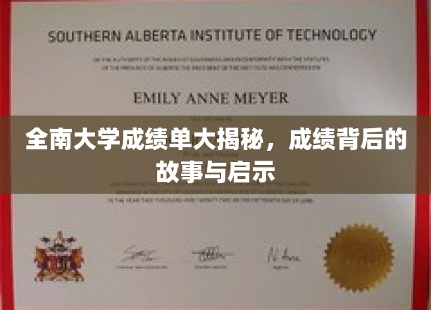 全南大学成绩单解码，背后故事揭示成长真谛