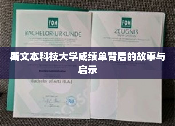 斯文本科技大学成绩单背后的故事与启示