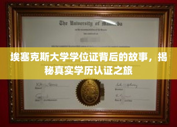 埃塞克斯大学学位证书背后的故事，揭秘真实学历认证之旅