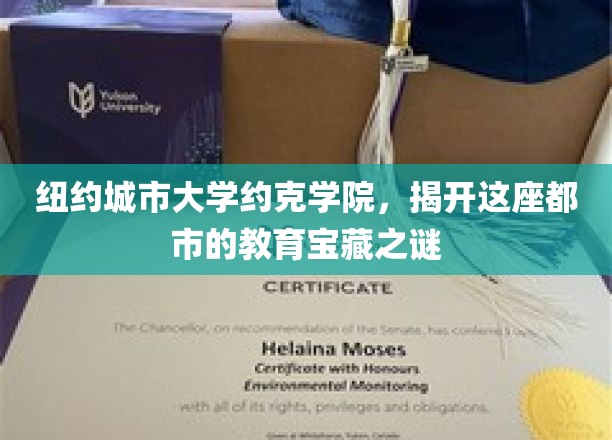 探寻纽约城市大学约克学院的隐藏教育奇观