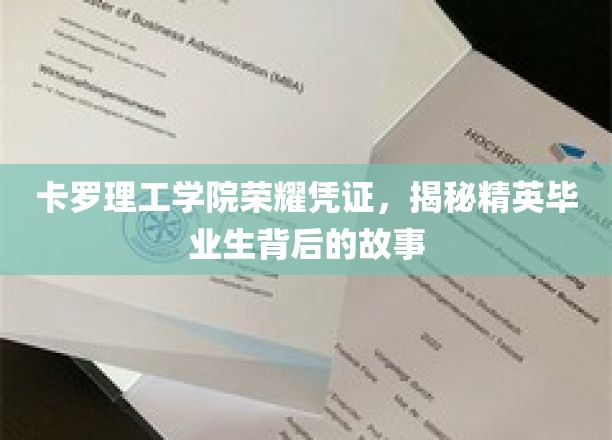 卡罗理工学院荣耀凭证，揭示精英毕业生背后的故事