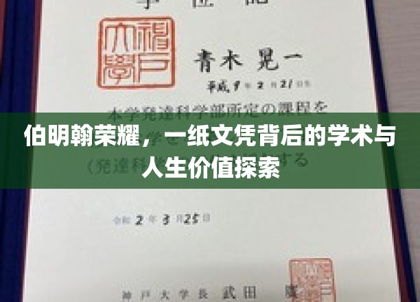 伯明翰荣耀，文凭背后的人生学术之旅