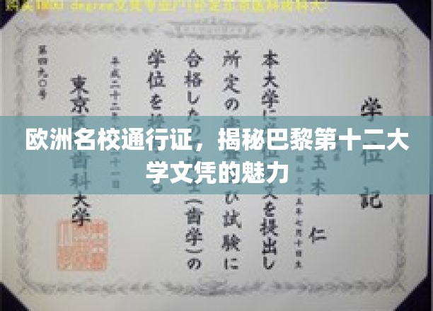 欧洲学府之选，揭秘巴黎第十二大学学位的独特魅力