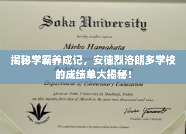 揭秘学霸摇篮，安德烈洛朗多学校背后的高分秘密