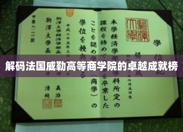 解码法国威勒高等商学院的卓越成就榜