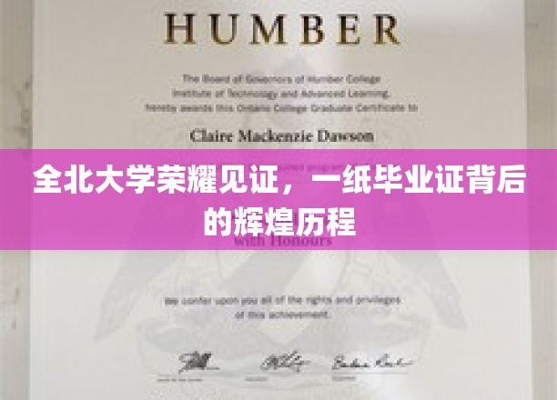 全北大学荣耀之旅，毕业证书背后的璀璨足迹
