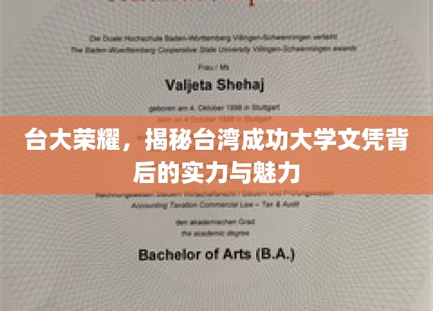 台湾顶尖学府风采，探秘成功大学文凭的卓越价值与独特魅力