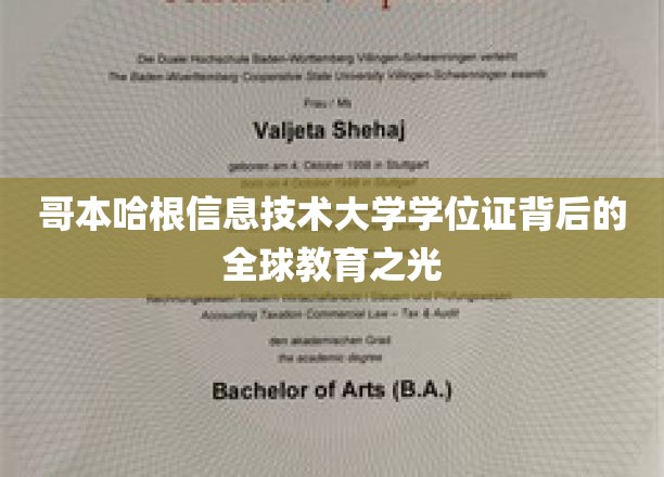 哥本哈根信息技术大学学位证书背后的全球教育之光