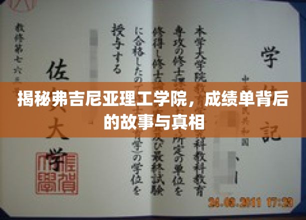 弗吉尼亚理工学院成绩单背后的传奇揭秘，揭秘学霸们的成长轨迹