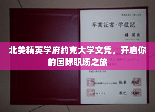 北美精英学府约克大学文凭，开启你的国际职场之旅