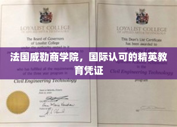 法国威勒商学院，国际认可的精英教育凭证