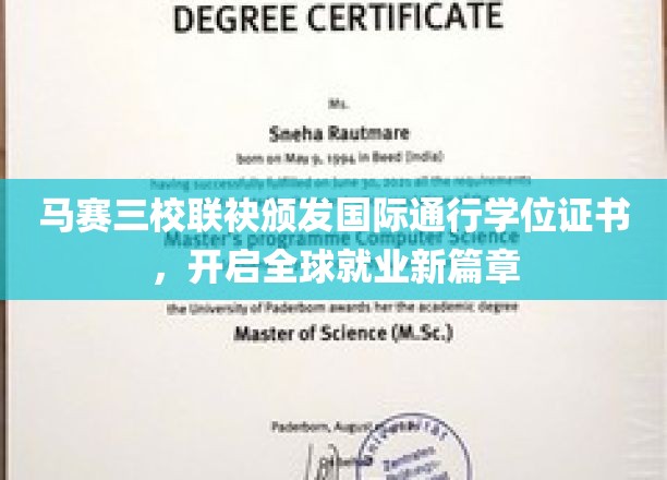 马赛三校联发国际学位，职场通行证助力全球梦