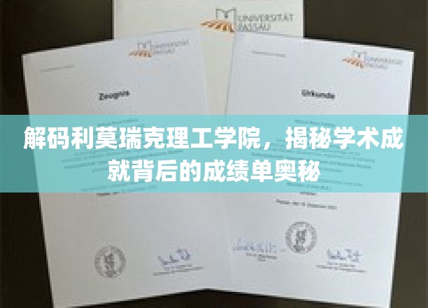 解码利莫瑞克理工学院，揭秘学术成就背后的成绩单奥秘