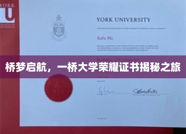 桥梦启航，一桥大学荣耀证书揭秘之旅
