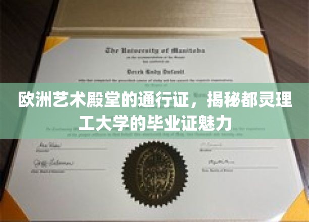 欧洲艺术殿堂的通行证，揭秘都灵理工大学的毕业证魅力
