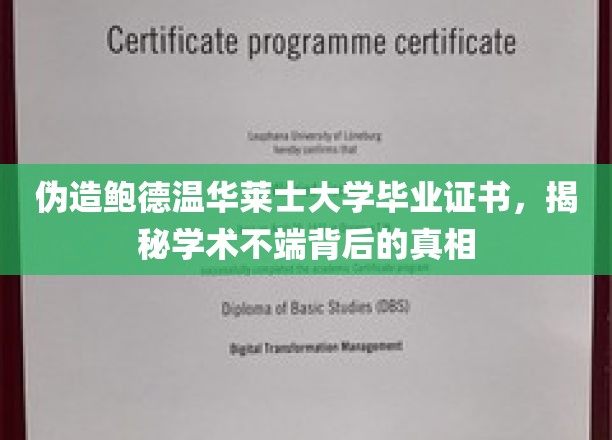 冒名顶替鲍德温华莱士学位，揭秘学术欺诈背后的惊人内幕