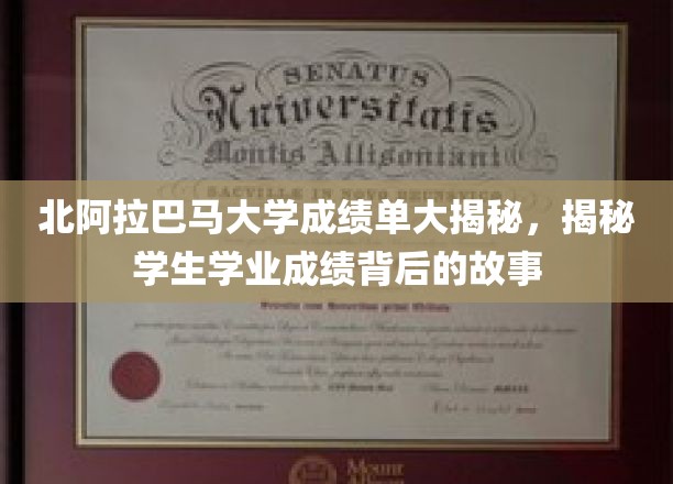 北阿拉巴马大学成绩单大揭秘，探寻学生学业成绩背后的故事