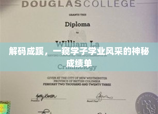 揭秘学子卓越成绩背后的秘密档案