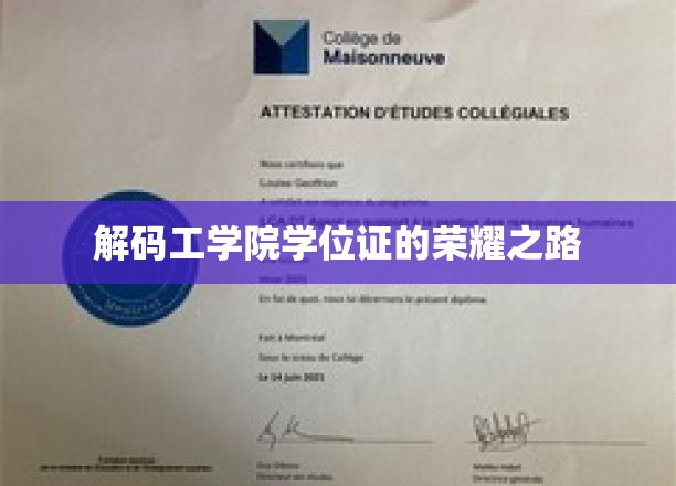 解锁工科学子荣耀证书背后的传奇故事