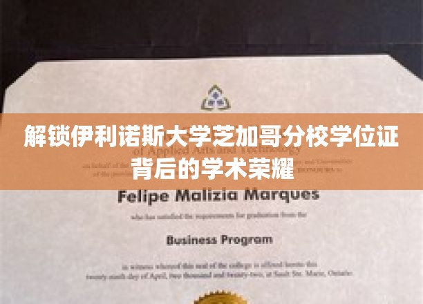 解锁伊利诺伊大学芝加哥分校学位证背后的学术荣耀