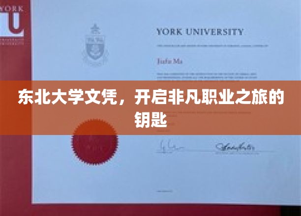 东北大学学历，开启非凡职业旅程的钥匙