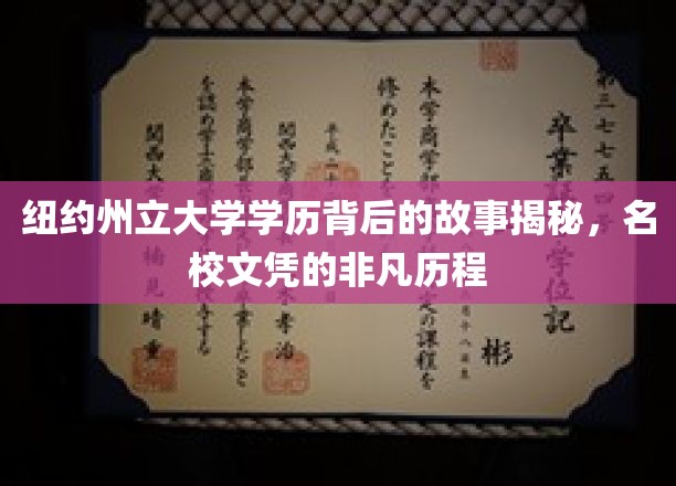 探索纽约州立大学学历背后的传奇，名校文凭的非凡成长之路