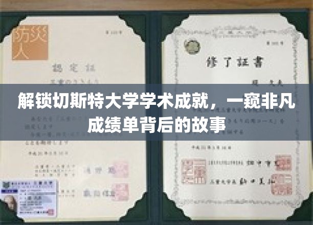 探秘切斯特大学，揭秘卓越学术成就背后的不凡之路