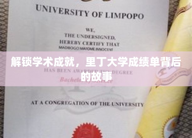 解锁学术成就，里丁大学成绩单背后的故事