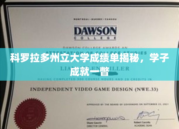 科罗拉多州立大学成绩单揭秘，学子成就一瞥