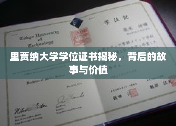 探秘里贾纳大学学位证书，背后的传奇与价值解读
