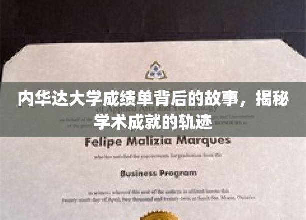 探索内华达大学成绩单背后的秘密，学术成就的轨迹揭秘之旅