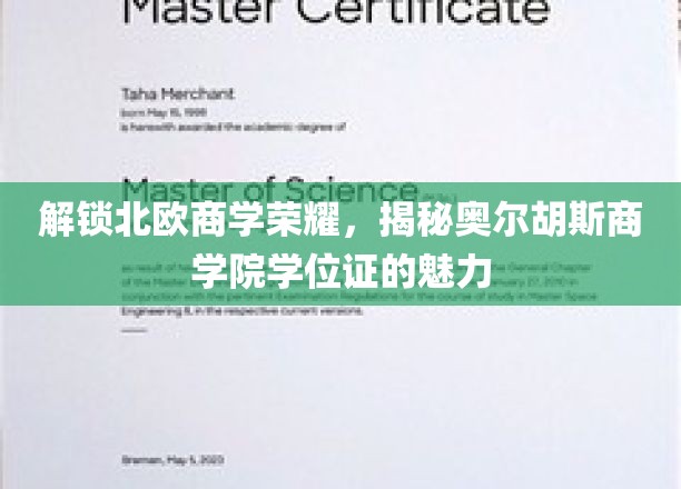 北欧商学之光，奥尔胡斯商学院学位证的独特魅力